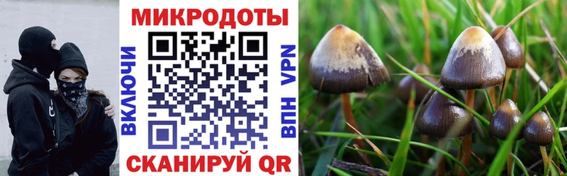 ОМГ ОМГ ССЫЛКА  хочу наркоту  Приволжск  Галлюциногенные грибы мицелий 